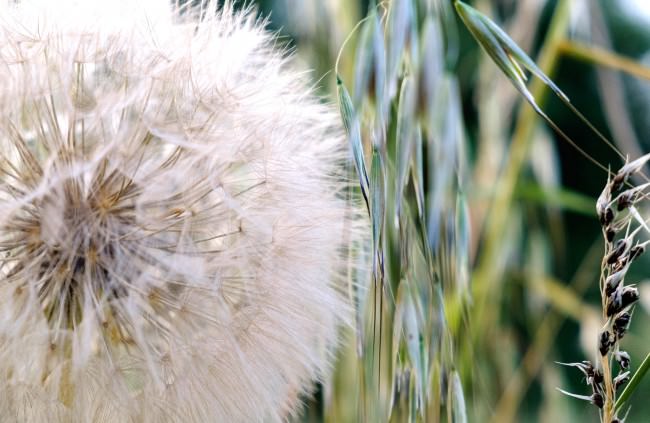 sustainability thumb